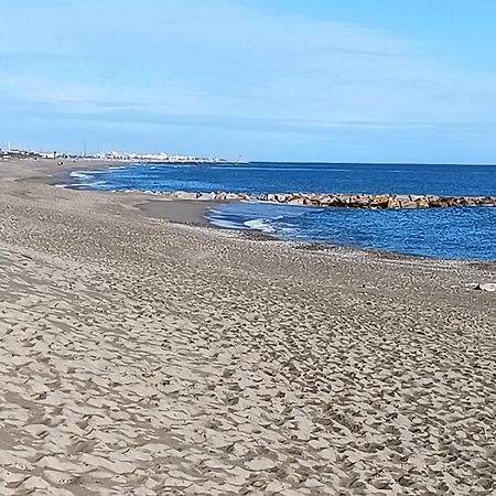 Logement Plage Saint-Cyprien  Eksteriør bilde