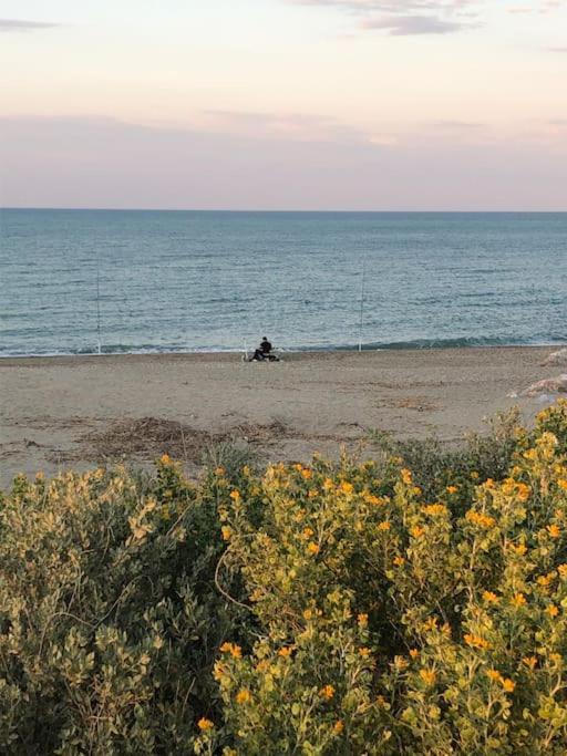 Logement Plage Saint-Cyprien  Eksteriør bilde